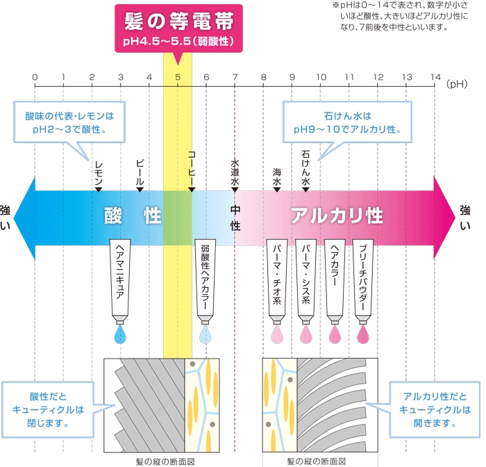 PH価のイラスト