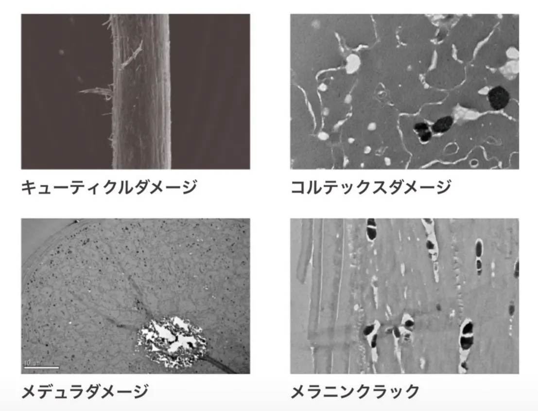 髪ダメージの種類